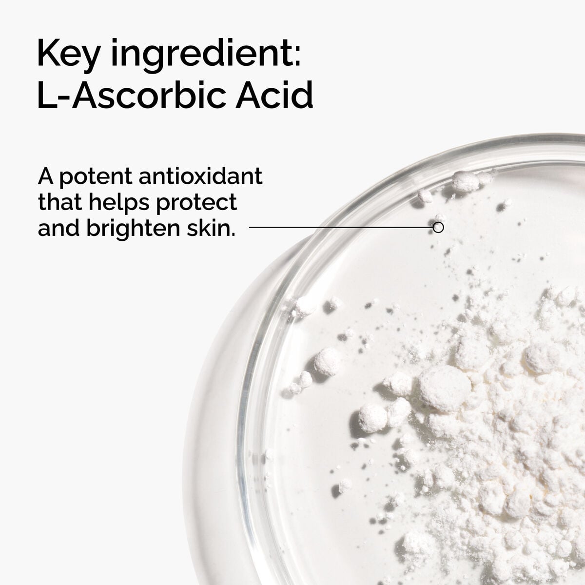 100-l-ascorbic-acid-powder-y1 FY25-D41247-ORD-Web-PDP-100-LAscb-Pwd-1x1-EN-2a.jpg