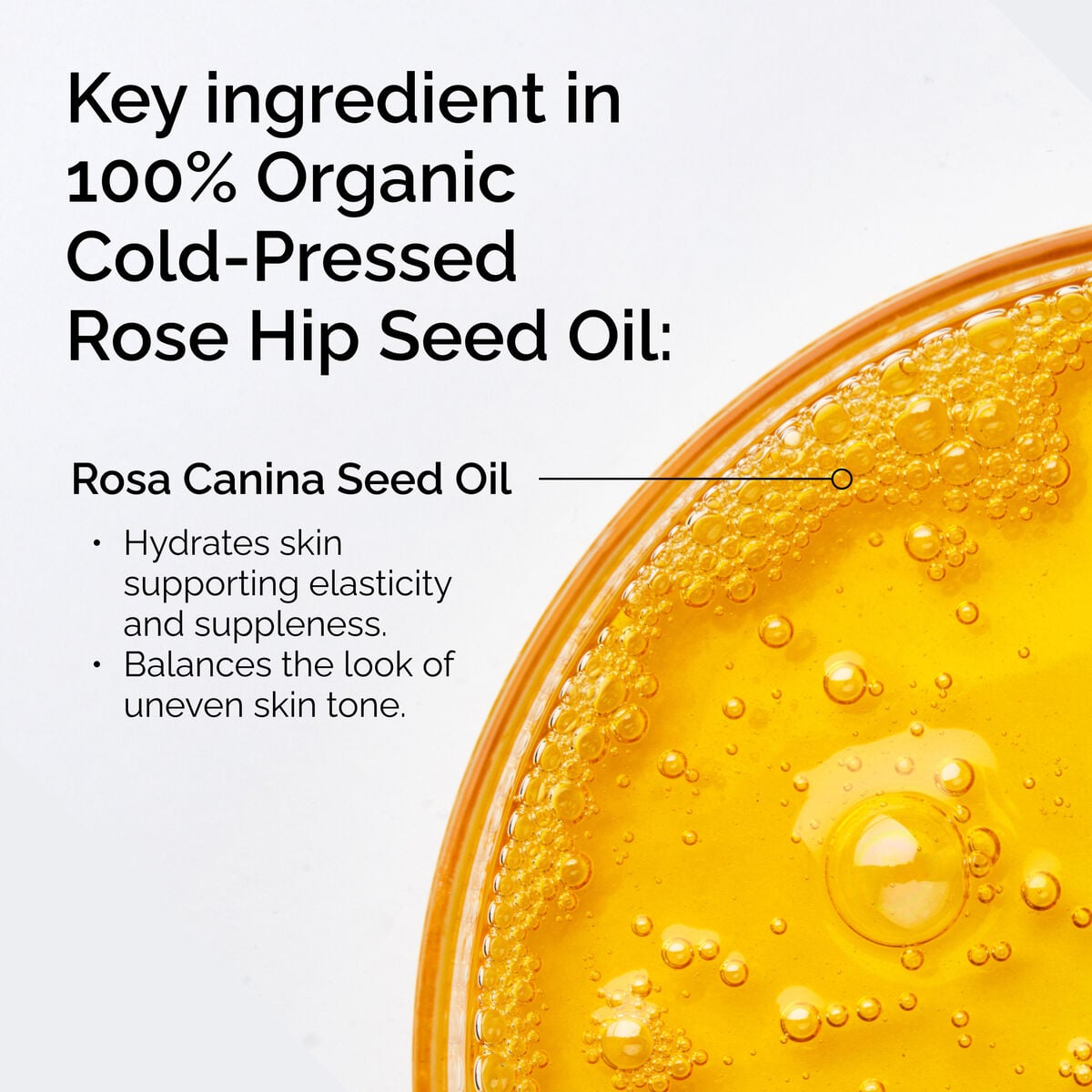 100-organic-cold-pressed-rose-hip-seed-oil-l4 FY25-D41247-ORD-Web-PDP-100-Rose-Hip-Oil-1x1-EN-2.jpg