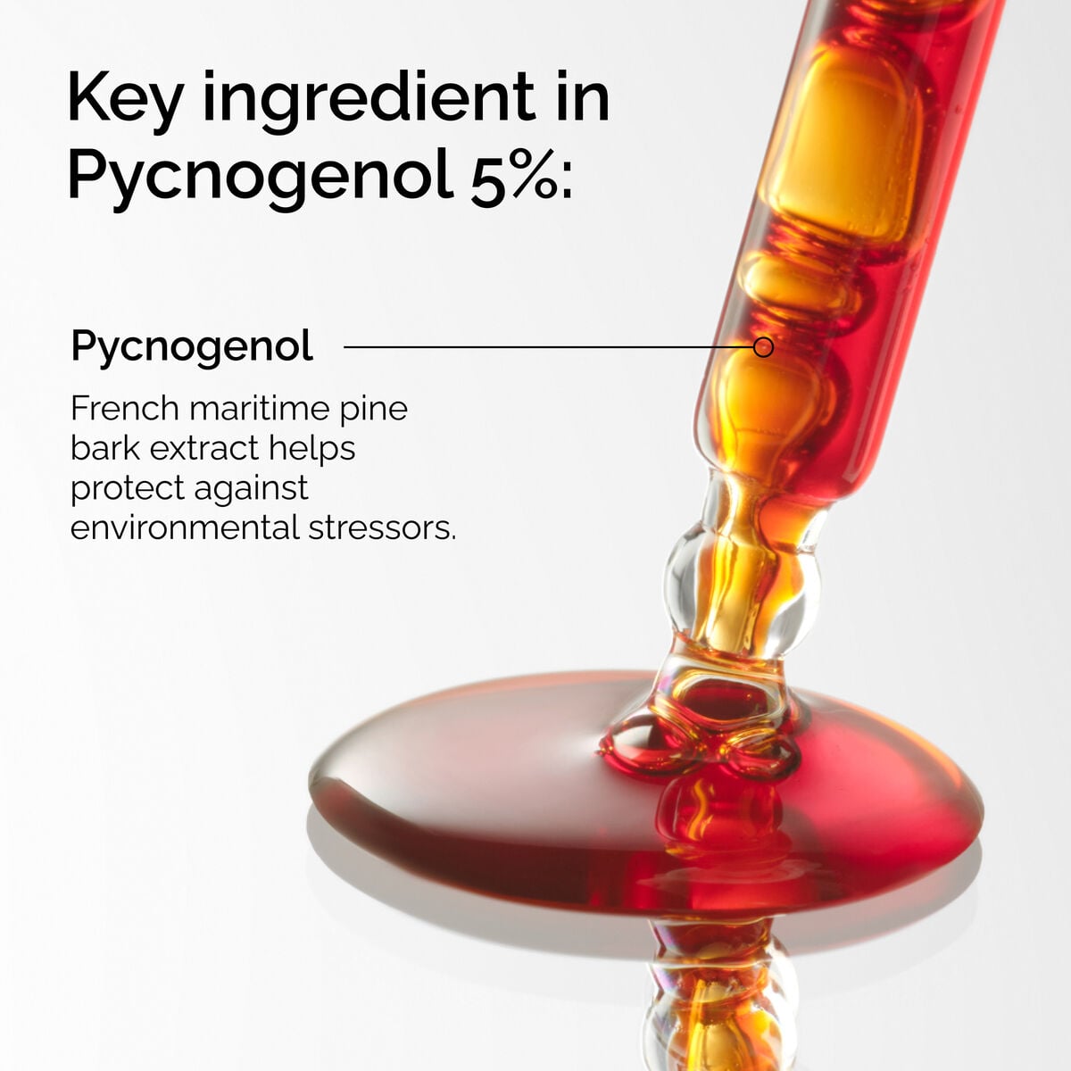 pycnogenol-5-p5 FY25-D41247-ORD-Web-PDP-Pyc-5pct-1x1-EN-2a.jpg