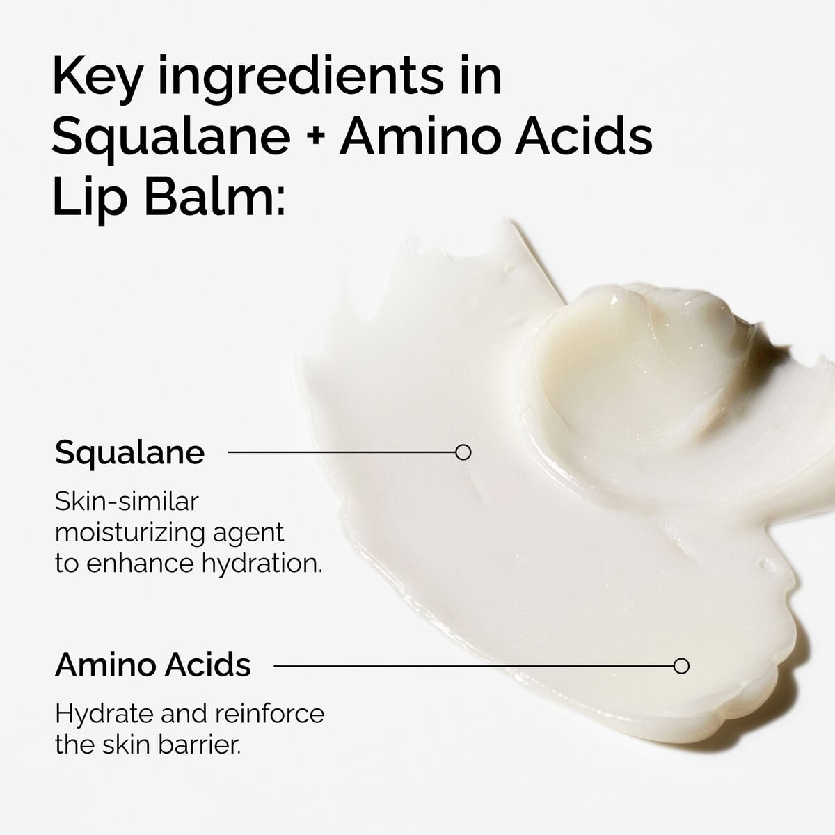 squalane-amino-acids-lip-balm-n5 FY25-D41247-ORD-Web-PDP-Sql-Amino-Lip-1x1-EN-2a.jpg