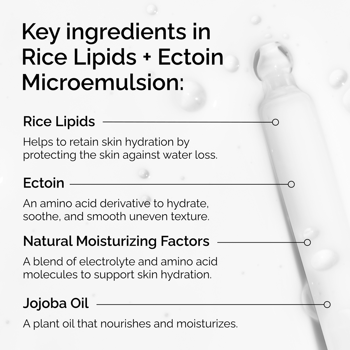 rice-lipids-ectoin-microemulsion-e5 ord-rice-lipids-ectoin-microemulsion-key-ingredients.png