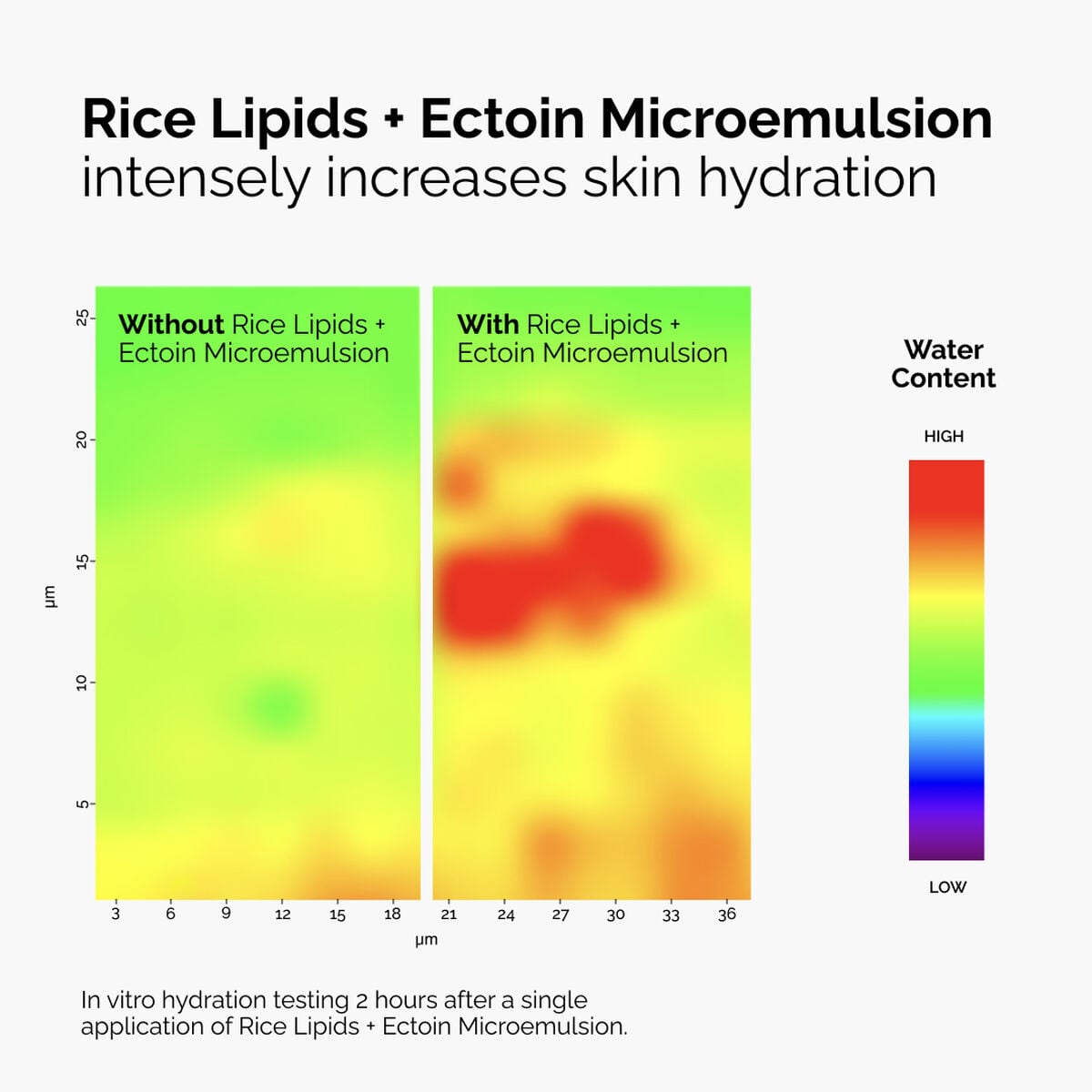 rice-lipids-ectoin-microemulsion-e5 ord-rice-lipids-ectoin-microemulsion-thermal-before-after.jpg